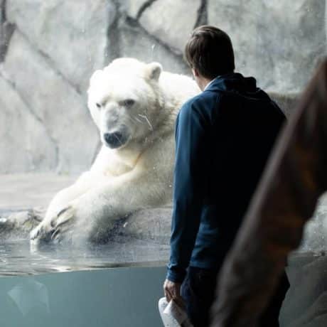 Man and polar bear