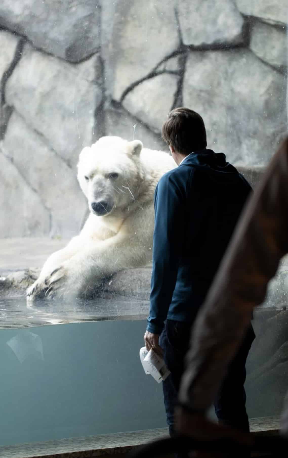 Man and polar bear