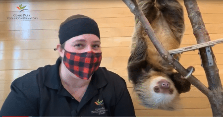 person in a mask next to sloth hanging upsidedown