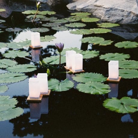 Paper Lanterns in water
