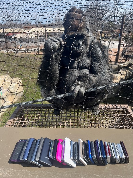 cell phones on a shelf with a gorilla looking at them