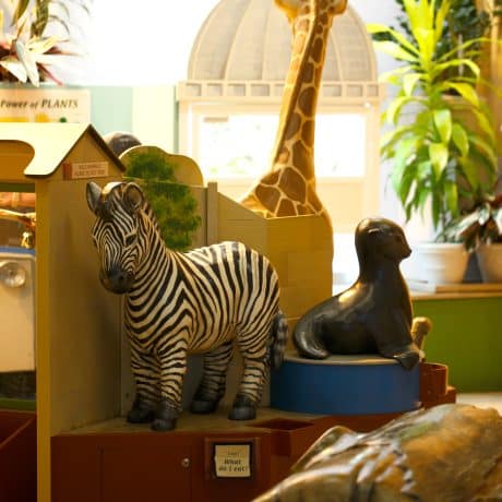 a room where kids would play featuring a small replicas of zebra, sea lion, and giraffe with some plants in the background