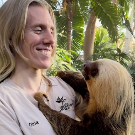 blonde haired person holding sloth